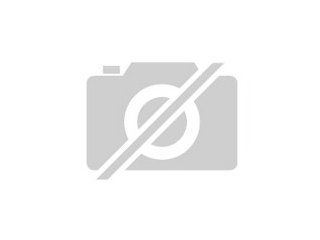 Für 8 Eurocent sms verschickenEMS Easy Sho